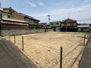 IMG_3512